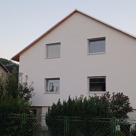 Apartmanovy Dum Terka Zazriva Luaran gambar